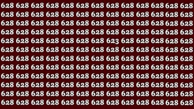 Ett pussel för supersmarta: hitta talet 623 på bara 32 sekunder