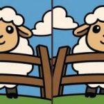 IQ-test: hitta 3 skillnader i en bild av ett får